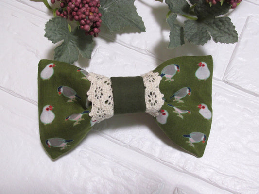 Java Sparrow Ribbon Barrette 2
