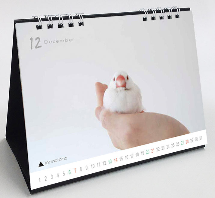 (PRE-ORDER) 2025 Java Sparrow Desk Calendar