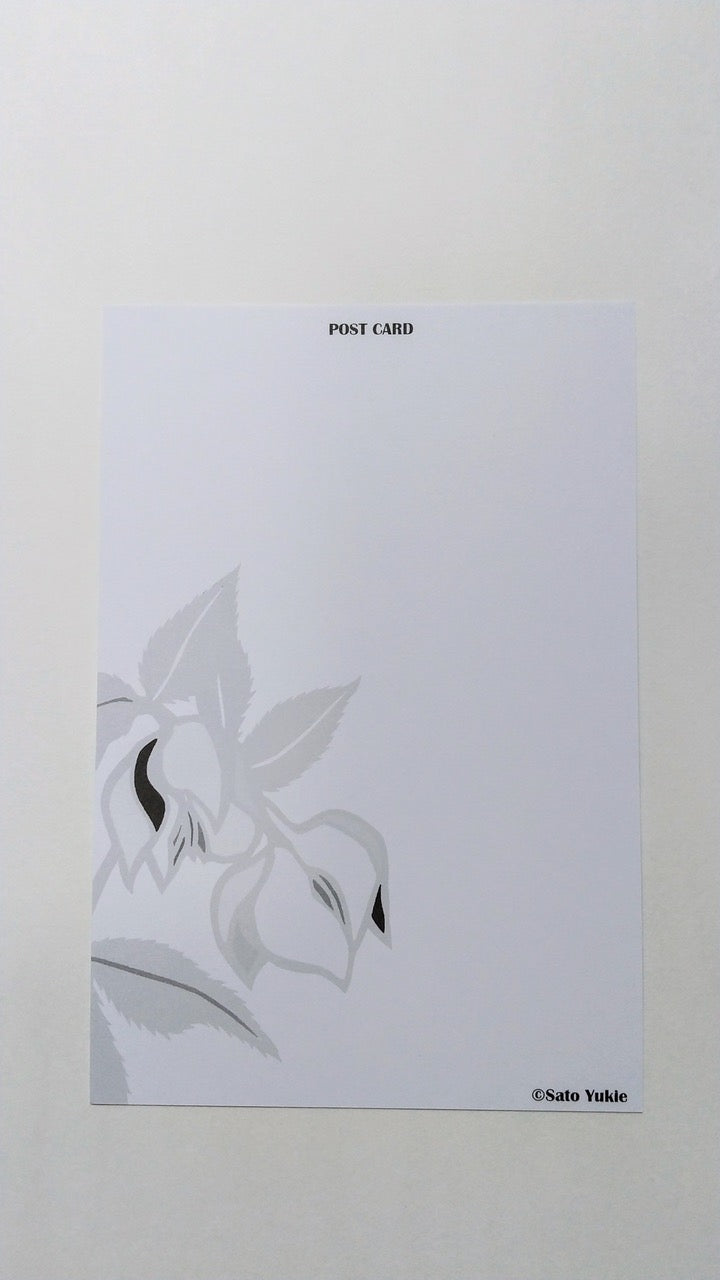 Java Sparrow Postcard