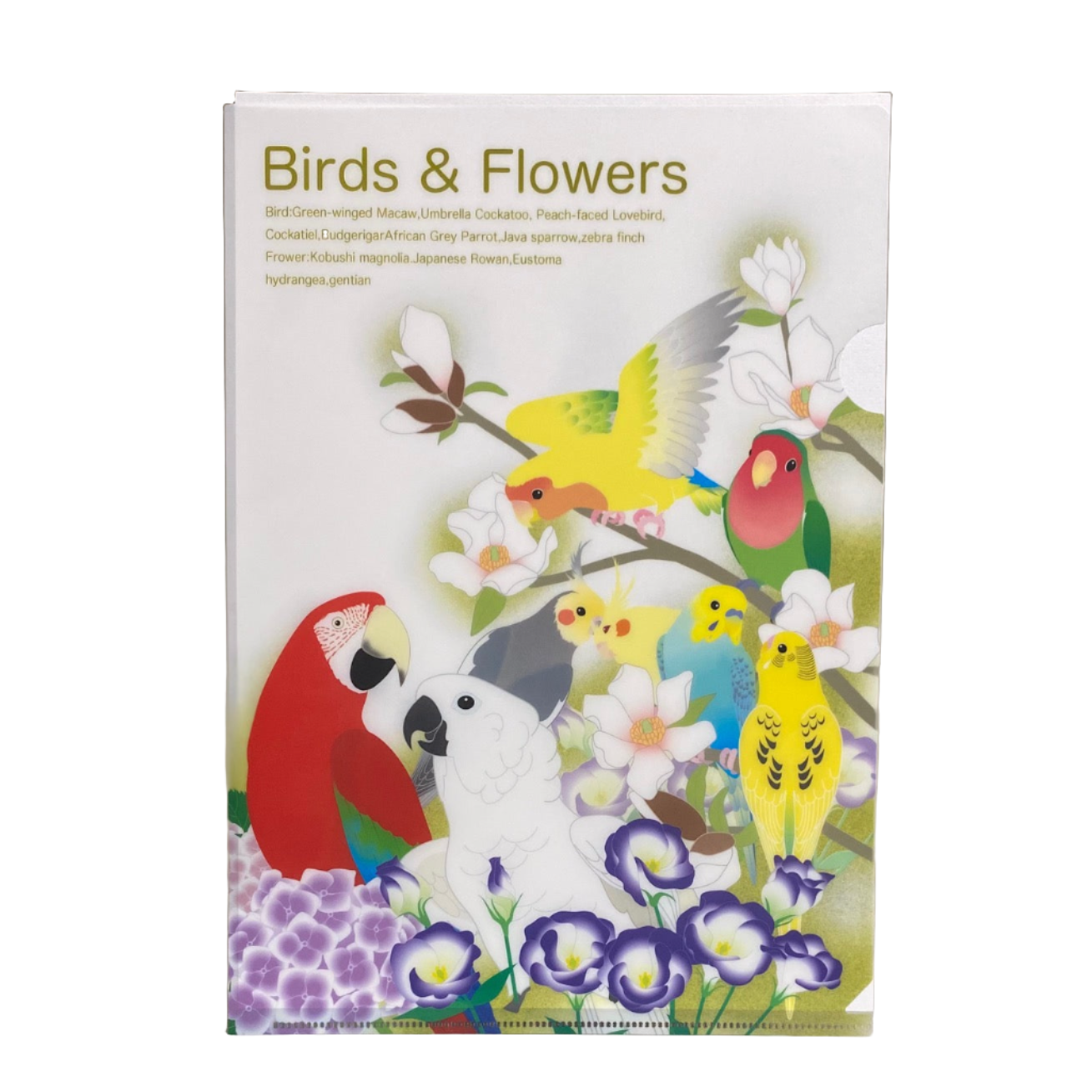 A4 File Folder Organizer Birds & Flowers