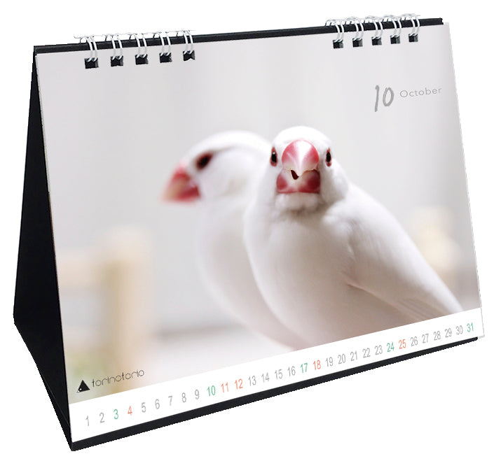 “Pre-order” 2026 Java Sparrow Desk Calendar