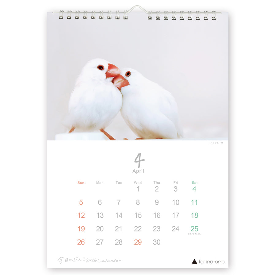 "Pre-order " 2026 Java Sparrow Wall Calendar
