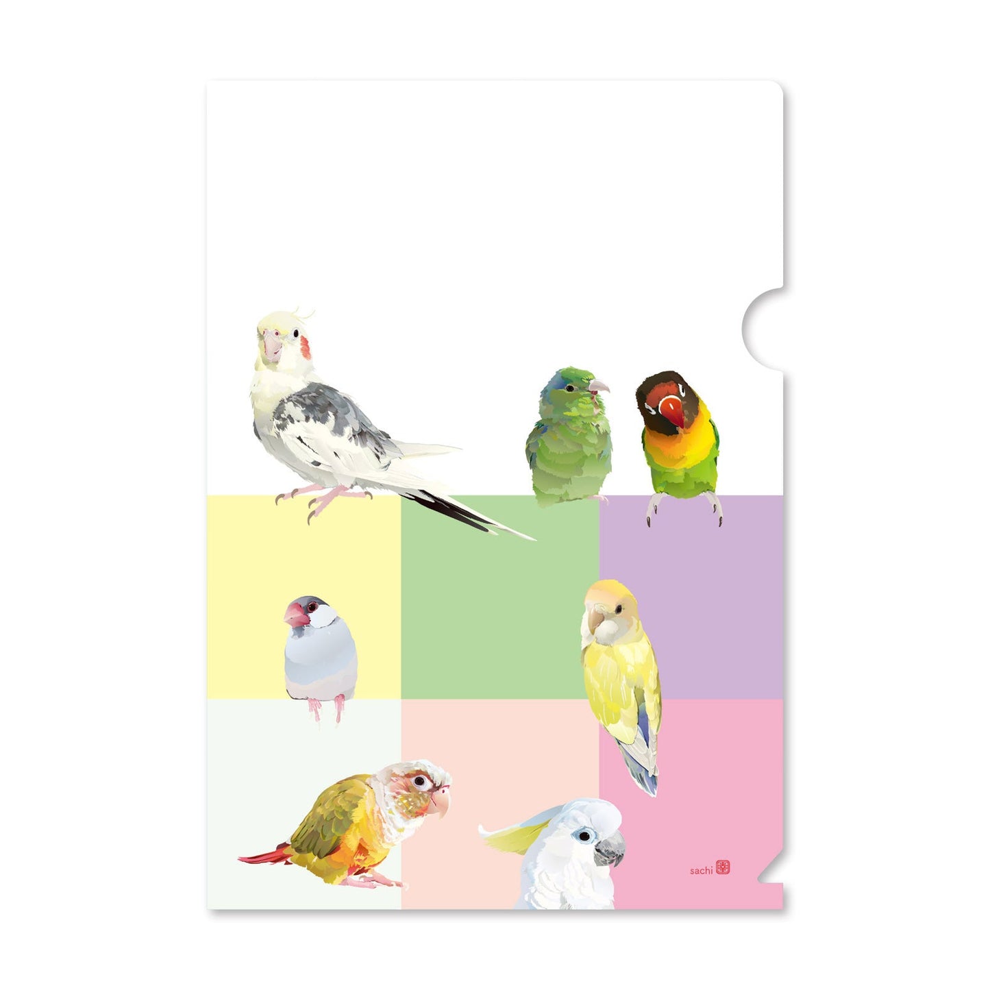 Bird Complex A5 File Folder Organizer