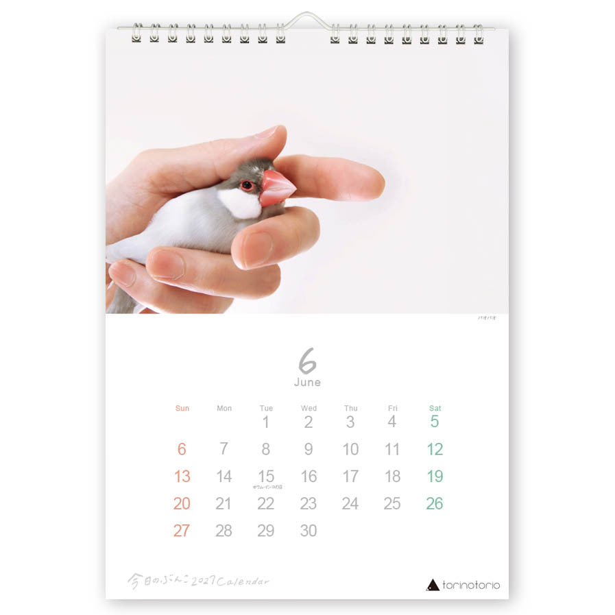 "Pre-order " 2027 Java Sparrow Wall Calendar