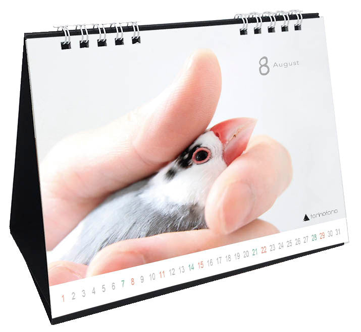 "Pre-order "  2027 Java Sparrow Desk Calendar