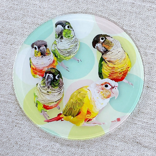 (Made-to-order requests are currently closed. Please wait until we reopen.) Made-to-Order Conure Acrylic Coaster