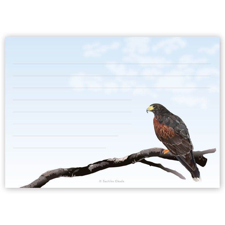 Harris Hawk Memo Pad