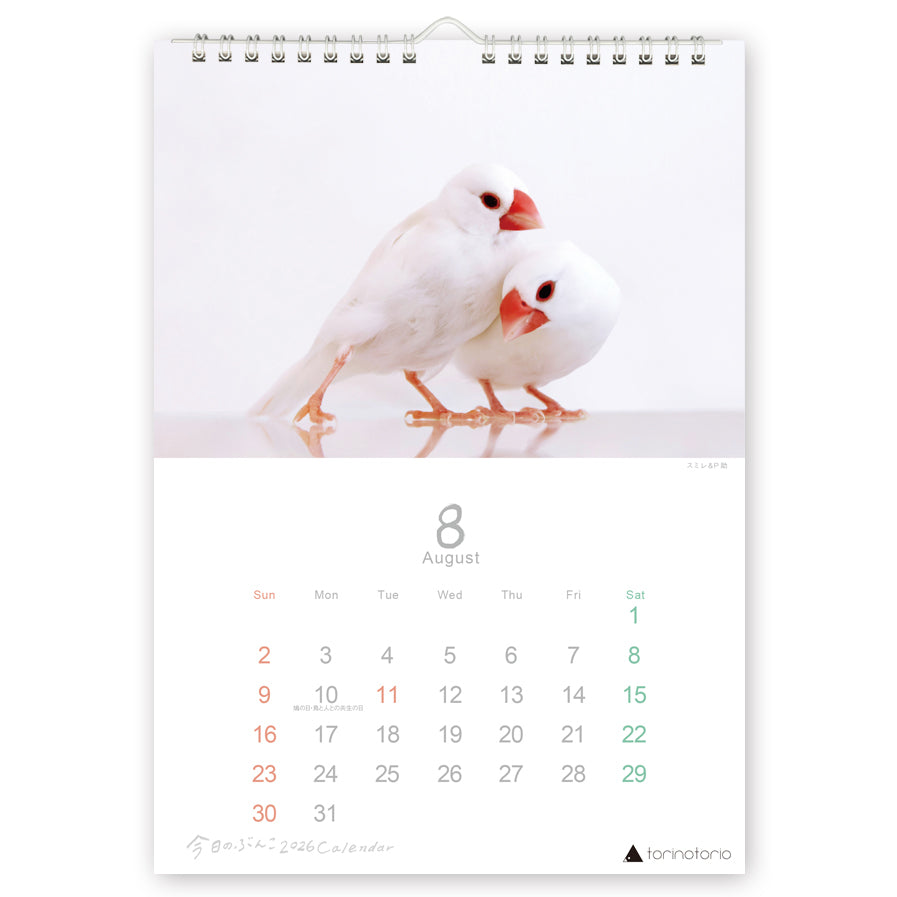 "Pre-order " 2026 Java Sparrow Wall Calendar