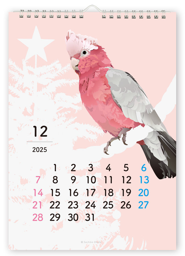 2025 Beautiful Birds Wall Calendar