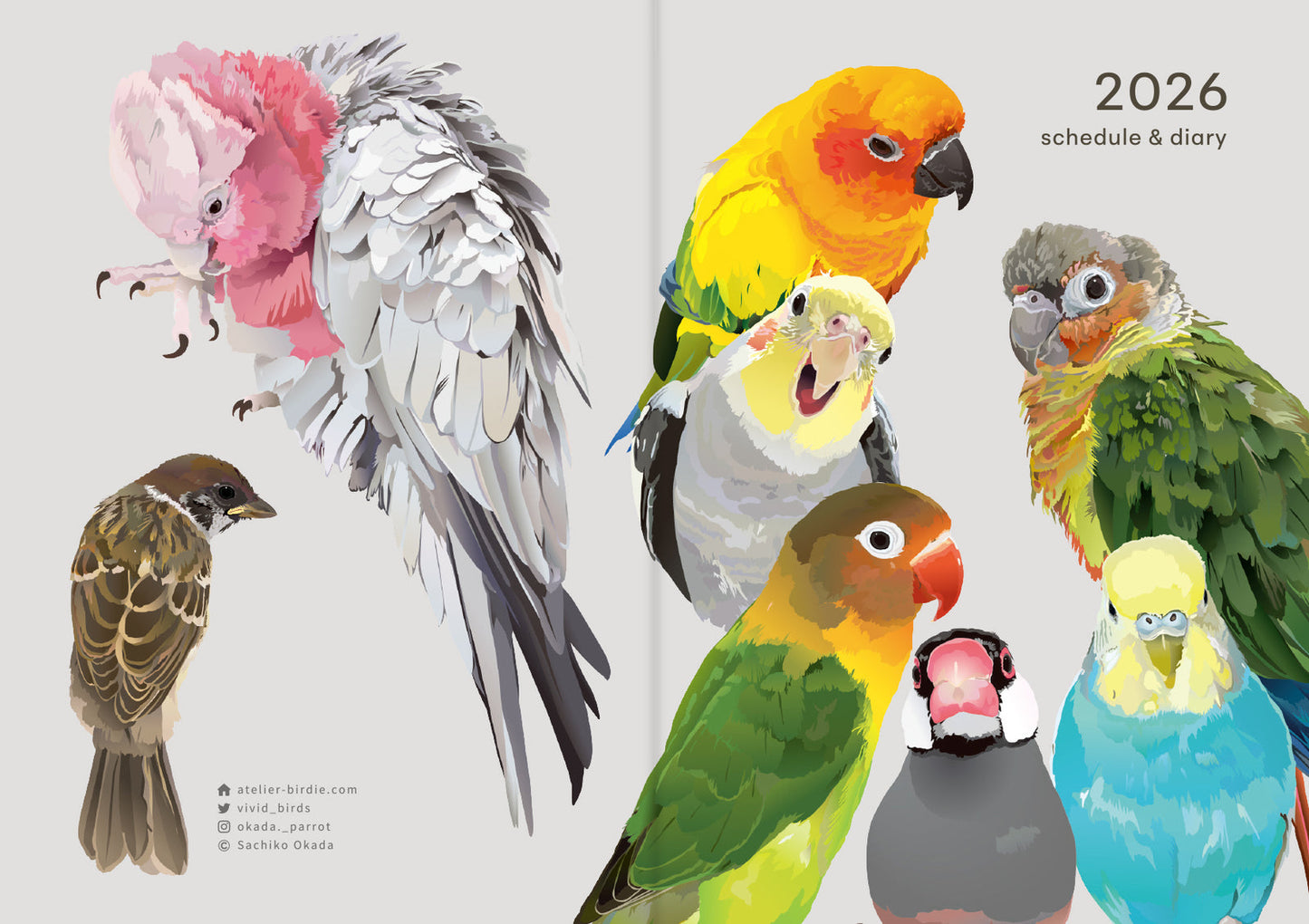2026 Beautiful Birds Planner Diary Schedule Book A6 size (December 2025 Start)
