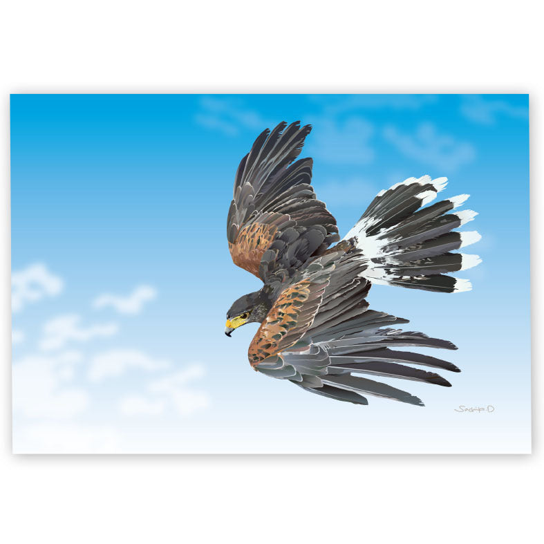 Harris Hawk Memo Pad
