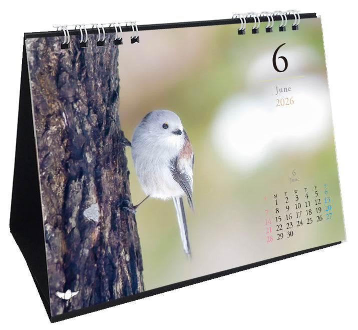 2026 Long-tailed Tit Desk Calendar