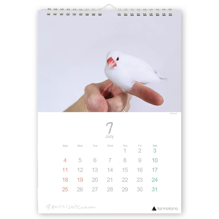 "Pre-order " 2027 Java Sparrow Wall Calendar