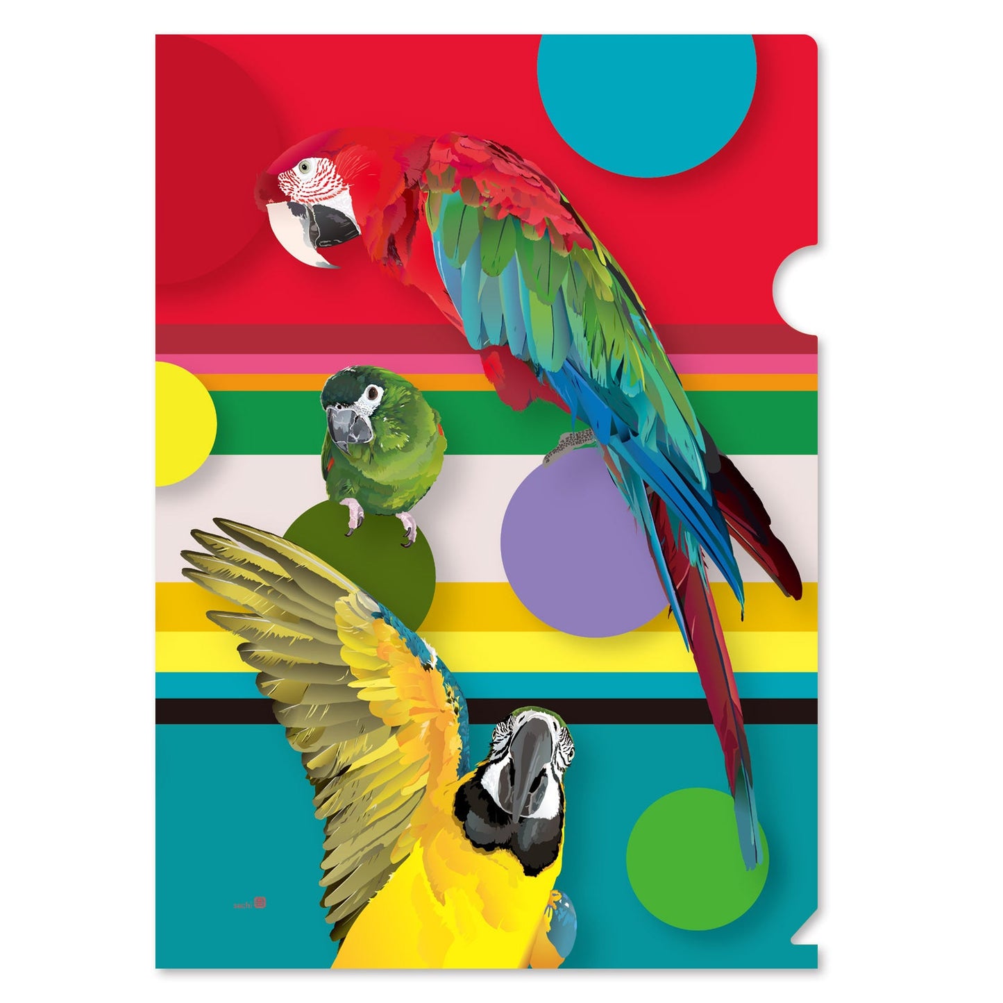 Macaw A4 File Folder Organizer