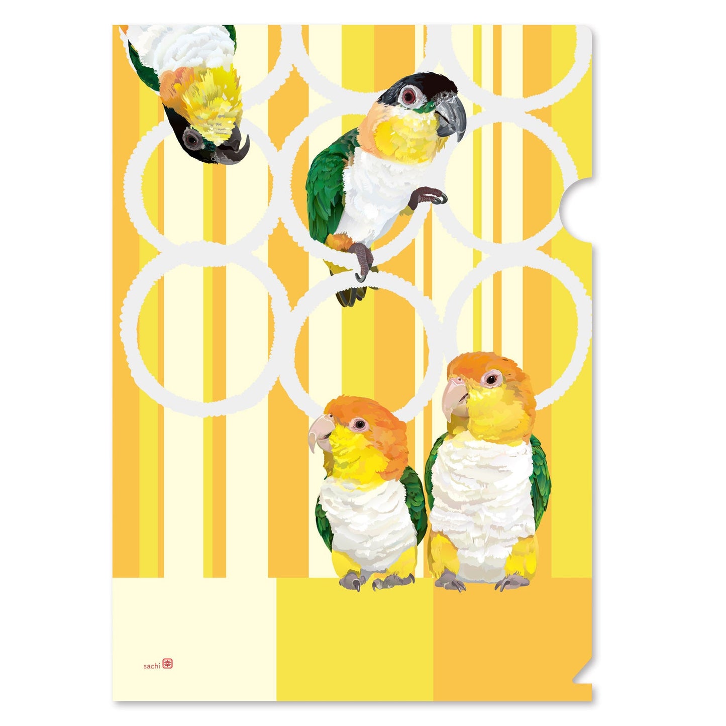 White-bellied Caique Black-headed Caique A4 File Folder Organizer