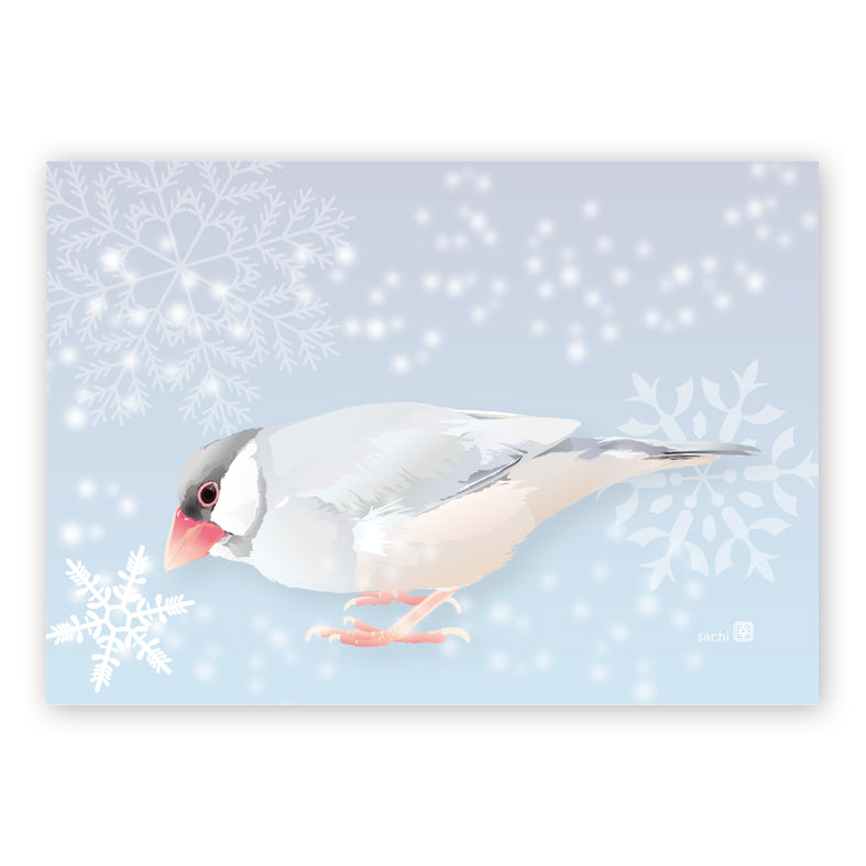 Java Sparrow Memo Pad