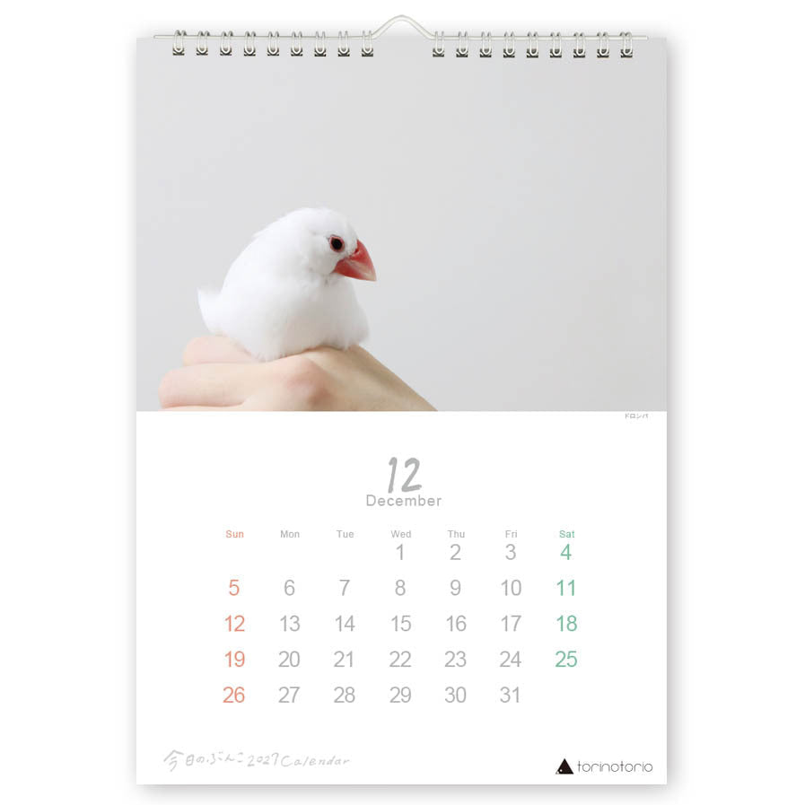 "Pre-order " 2027 Java Sparrow Wall Calendar