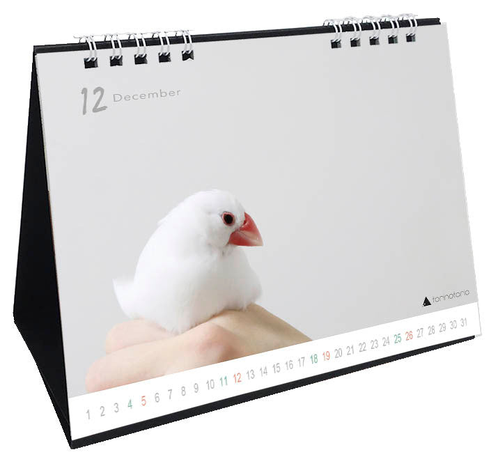"Pre-order "  2027 Java Sparrow Desk Calendar