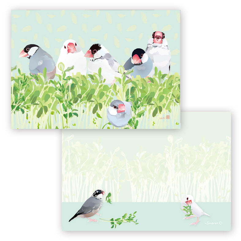 Java Sparrow Memo Pad