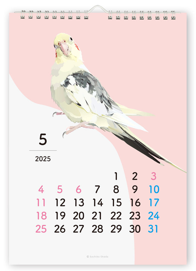 2025 Beautiful Birds Wall Calendar