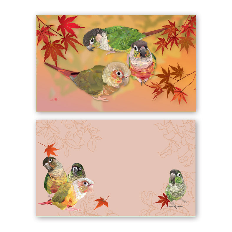 Set of 10 Conure Mini Message Card