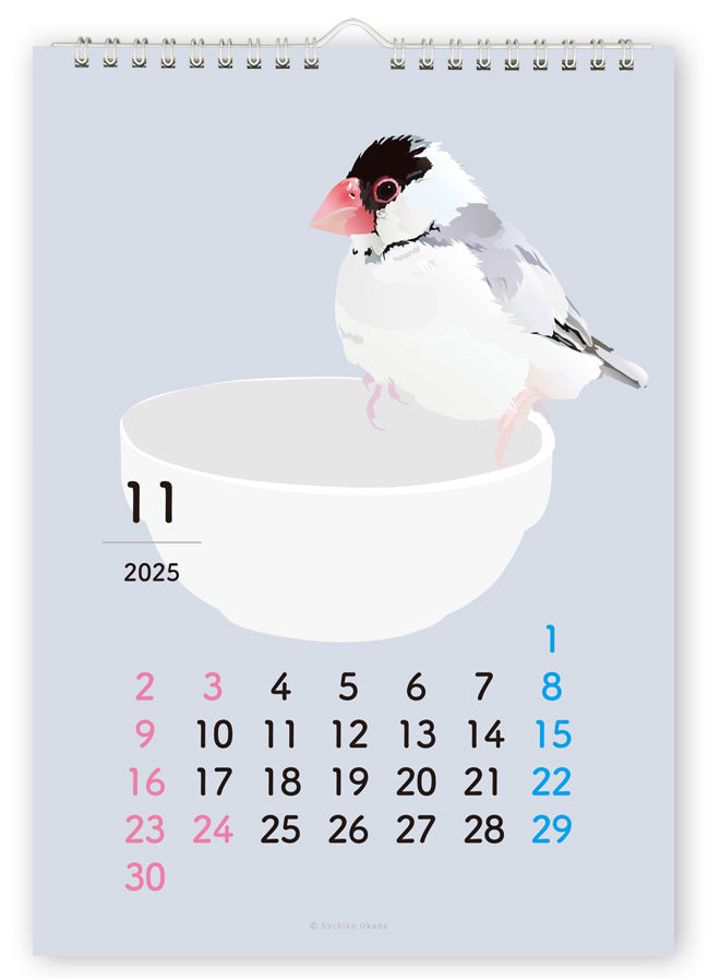 2025 Beautiful Birds Wall Calendar