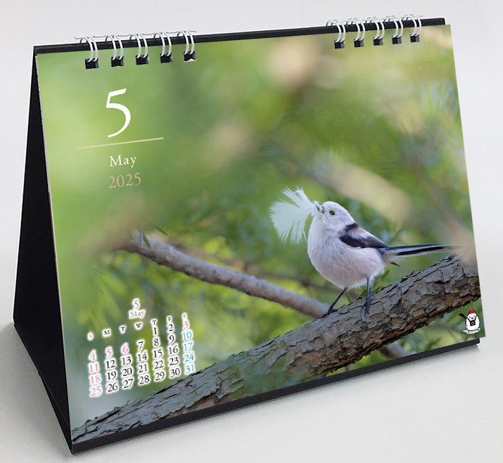 2025 Long-tailed Tit Four Season Desk Calendar