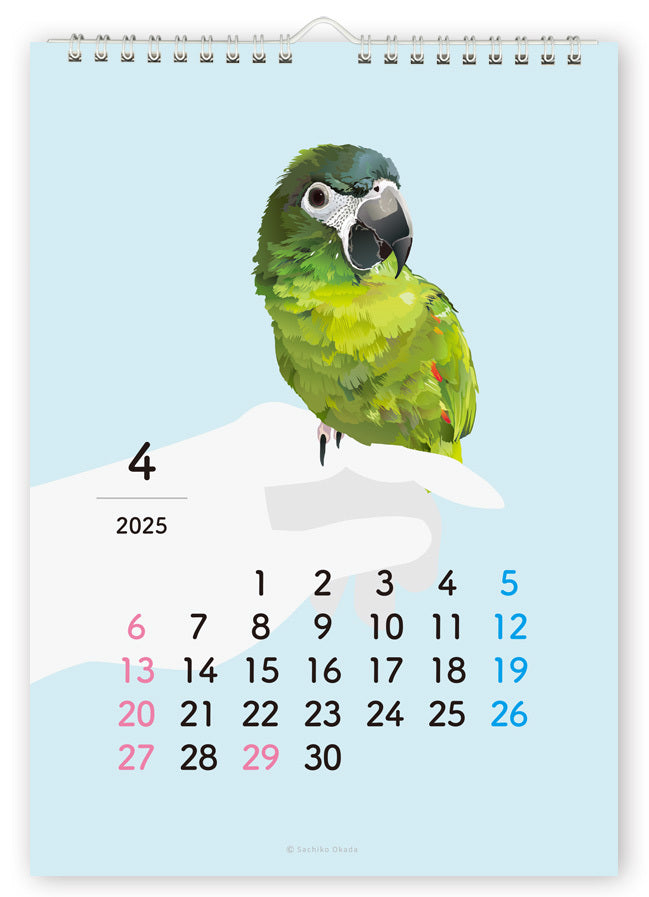 2025 Beautiful Birds Wall Calendar