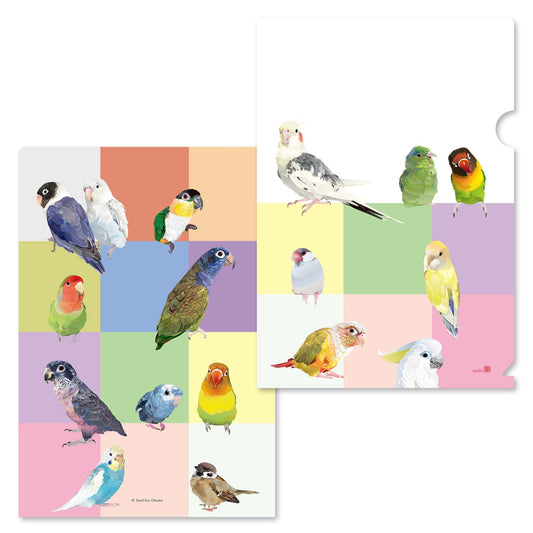 Bird Complex A5 File Folder Organizer