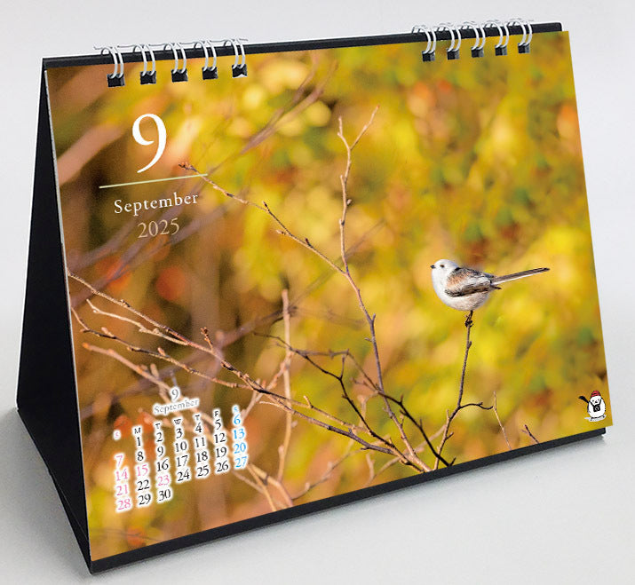 2025 Long-tailed Tit Four Season Desk Calendar