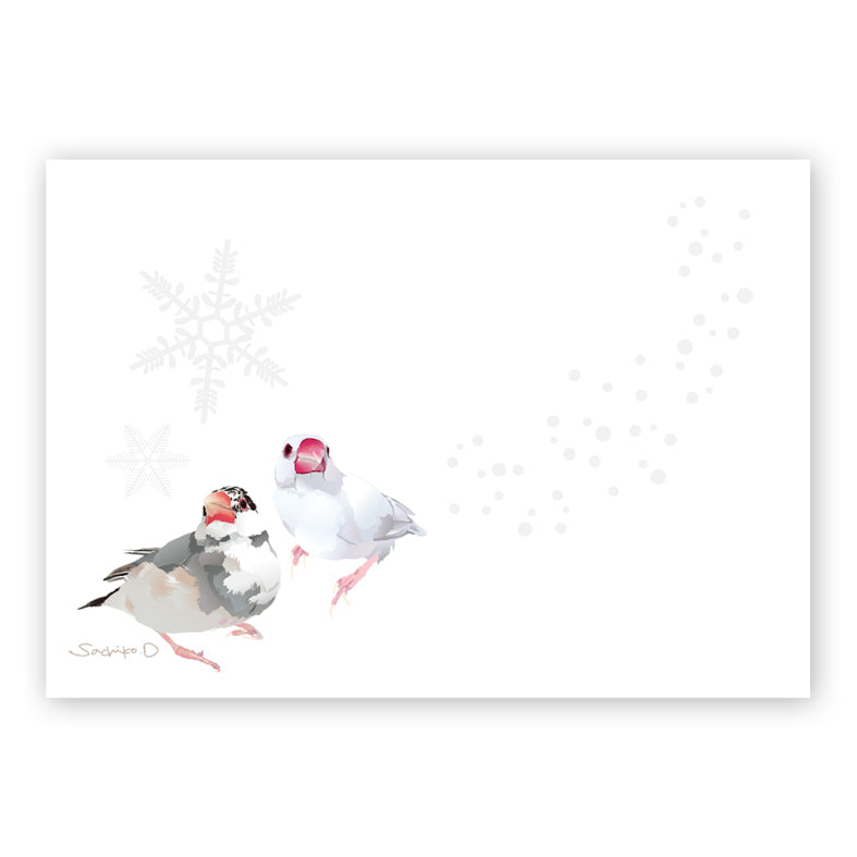 Java Sparrow Memo Pad