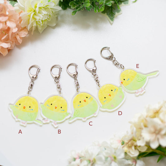 Made-to-Order Budgie Acrylic Key Holder – Order by Nov. 19, 2025/ Estimated Shipping Date: Mid Dec. 2025
