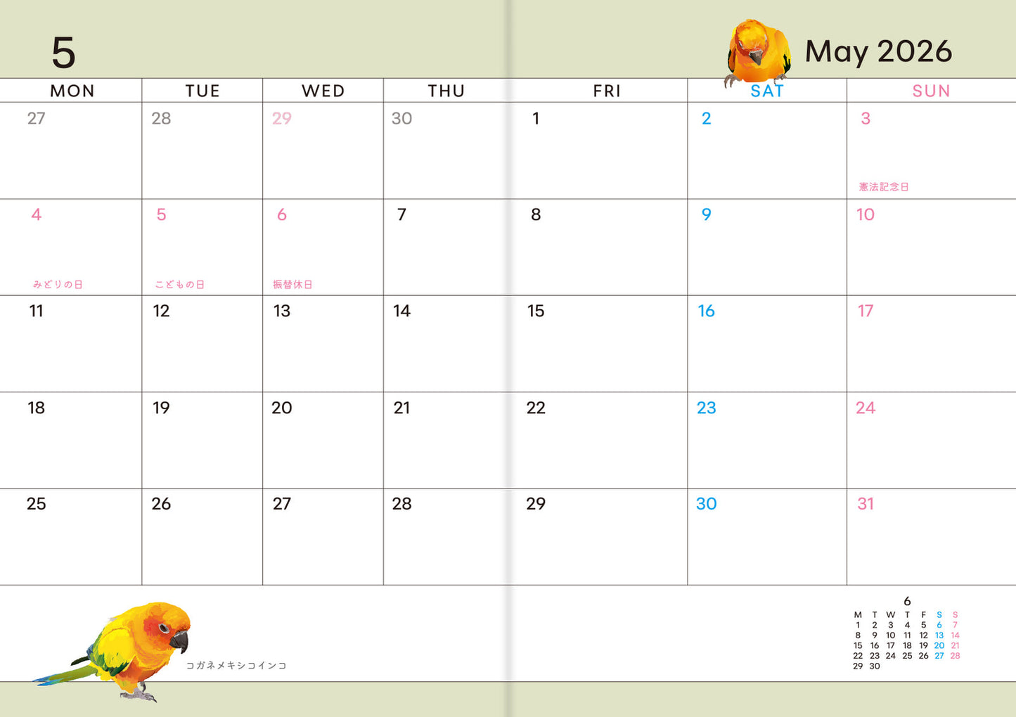 2026 Beautiful Birds Planner Diary Schedule Book A6 size (December 2025 Start)