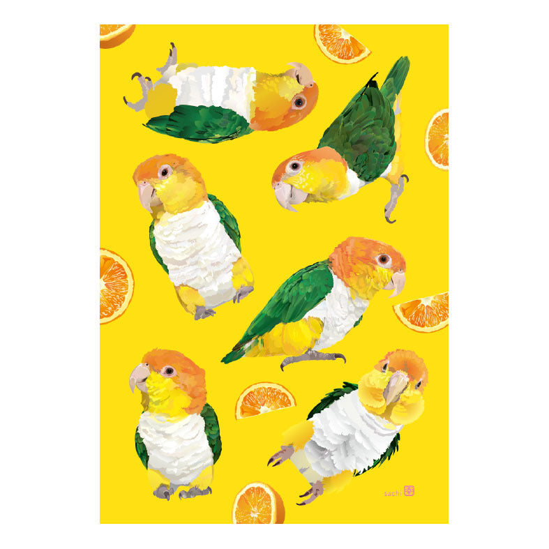 White-bellied Caique Mini Memo Pad