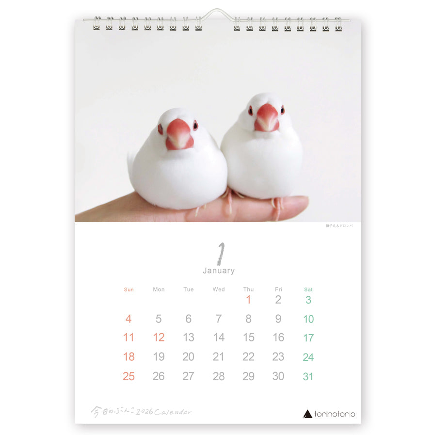 "Pre-order " 2026 Java Sparrow Wall Calendar