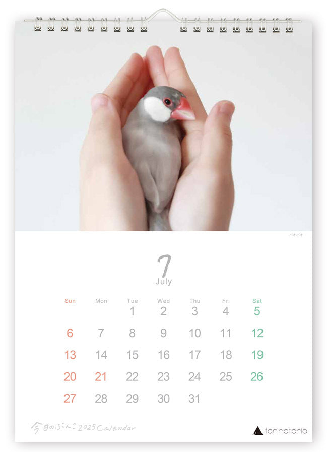 (PRE-ORDER) 2025 Java Sparrow Wall Calendar