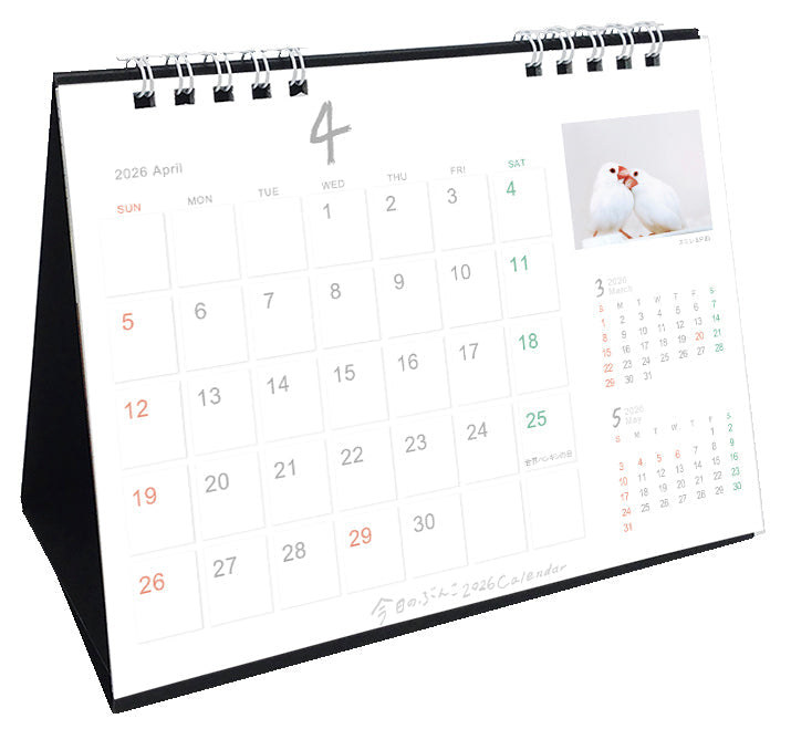 “Pre-order” 2026 Java Sparrow Desk Calendar