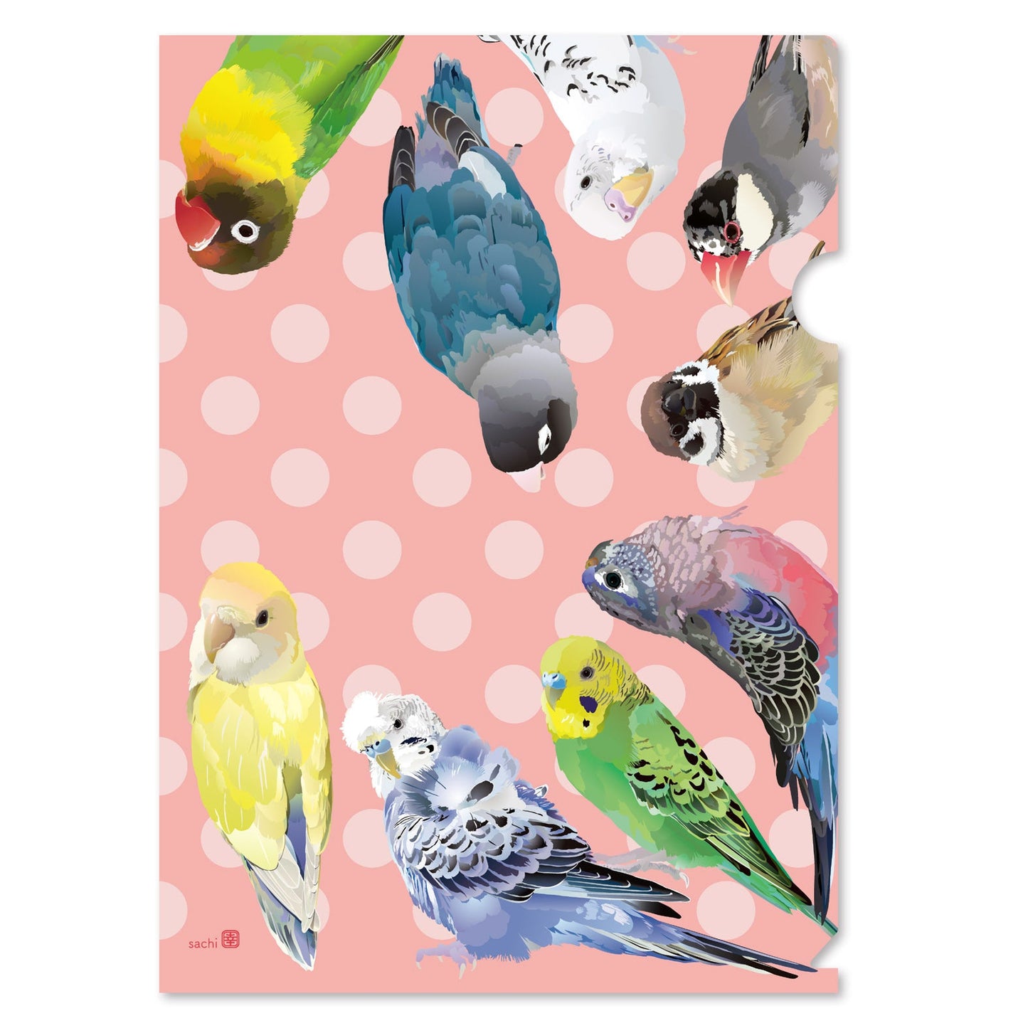 Kotori Palette Birds A4 File Folder Organizer