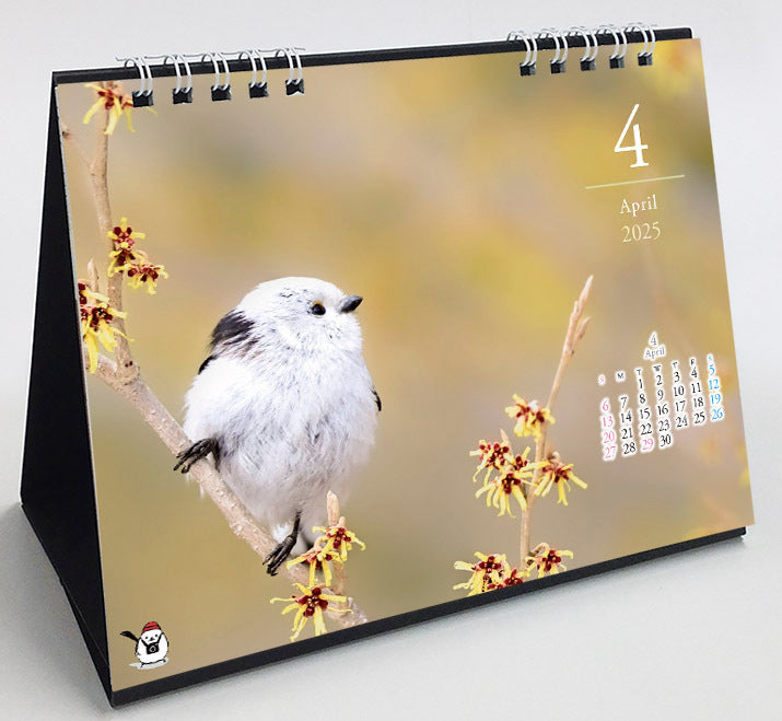 2025 Long-tailed Tit Four Season Desk Calendar