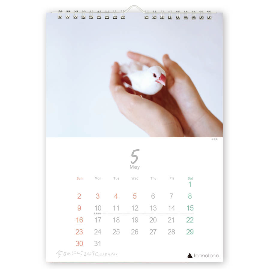 "Pre-order " 2027 Java Sparrow Wall Calendar