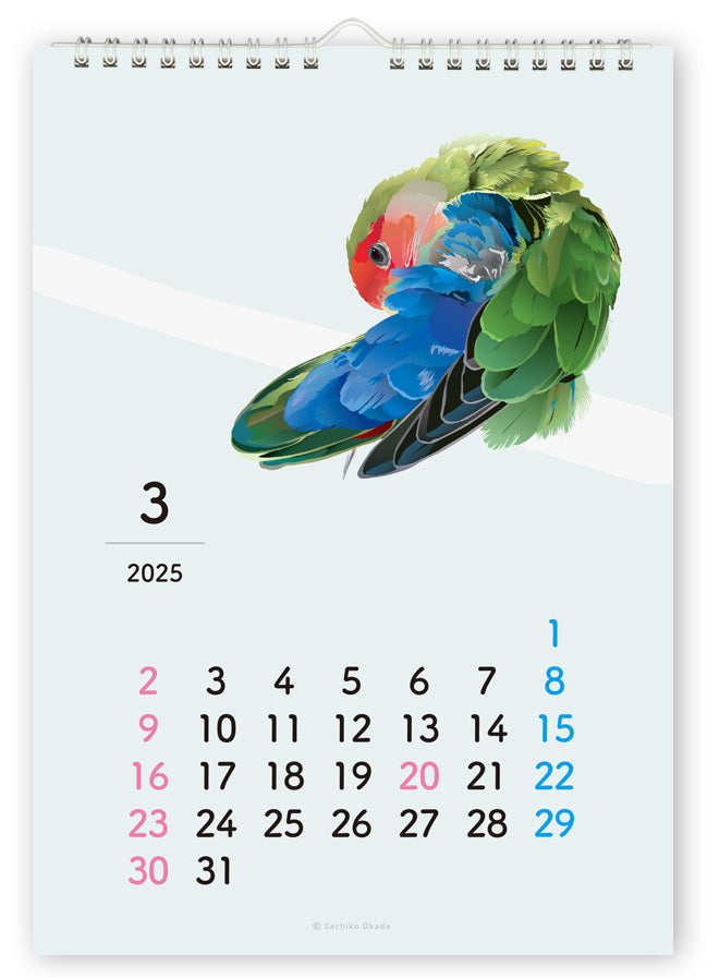 2025 Beautiful Birds Wall Calendar