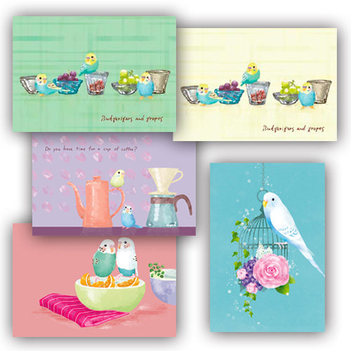 Budgie Postcards Set of 5