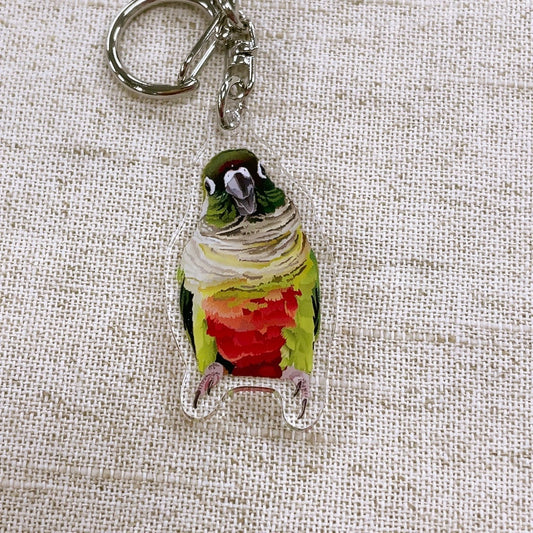 (Made-to-order requests are currently closed. Please wait until we reopen.) Made-to-Order Conure Acrylic Key Holder