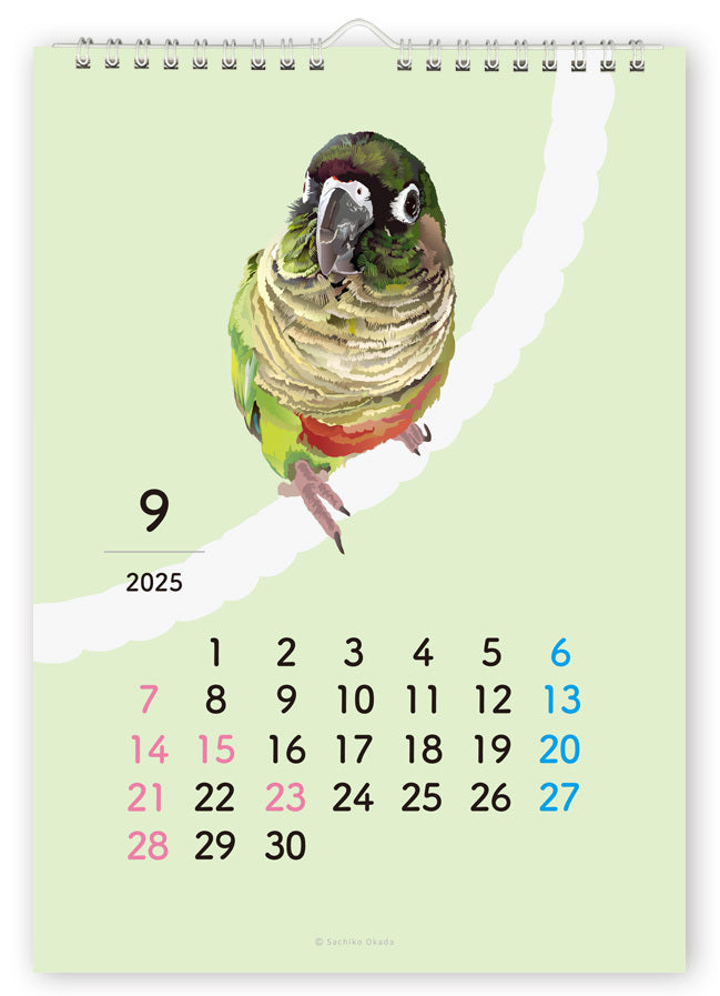 2025 Beautiful Birds Wall Calendar