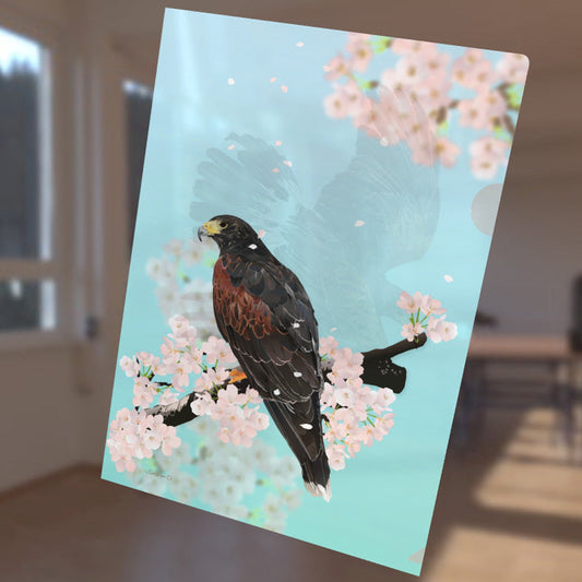 Harris Hawk A4 File Folder Organizer