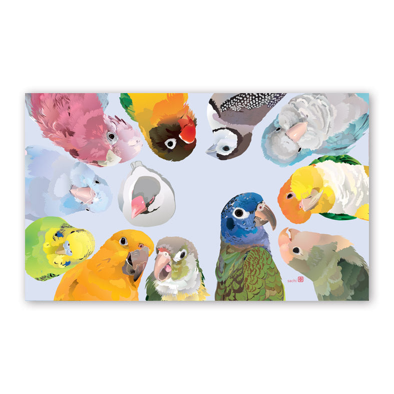 Set of 10 Birds Mini Message Card