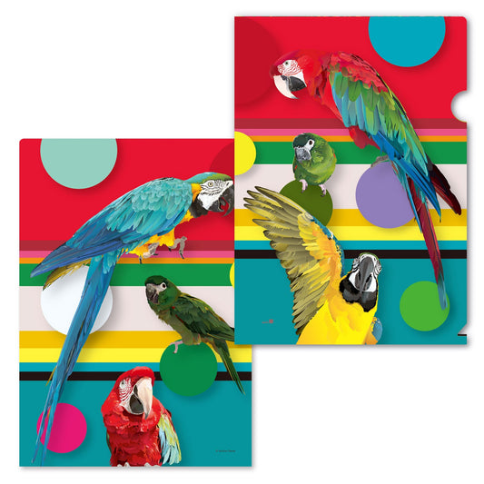 Macaw A4 File Folder Organizer