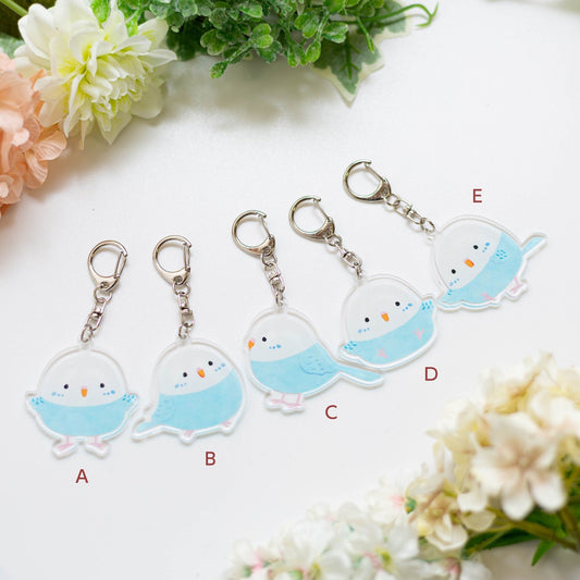 Made-to-Order Budgie Acrylic Key Holder – Order by Nov. 19, 2025/ Estimated Shipping Date: Mid Dec. 2025