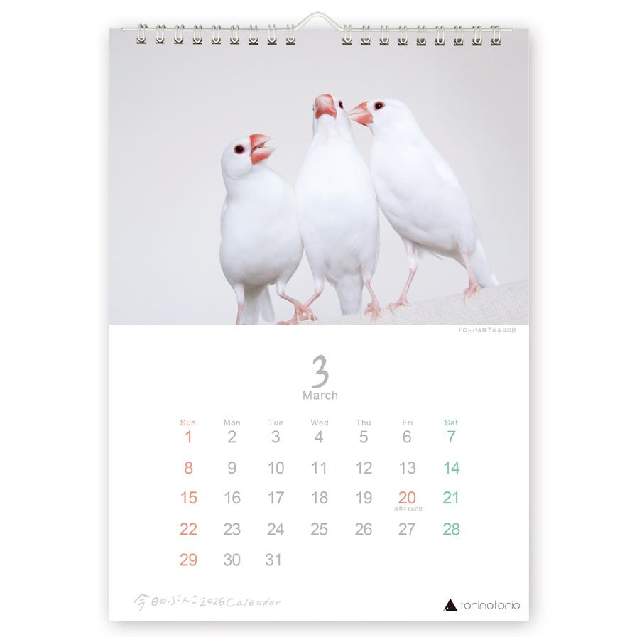 "Pre-order " 2026 Java Sparrow Wall Calendar