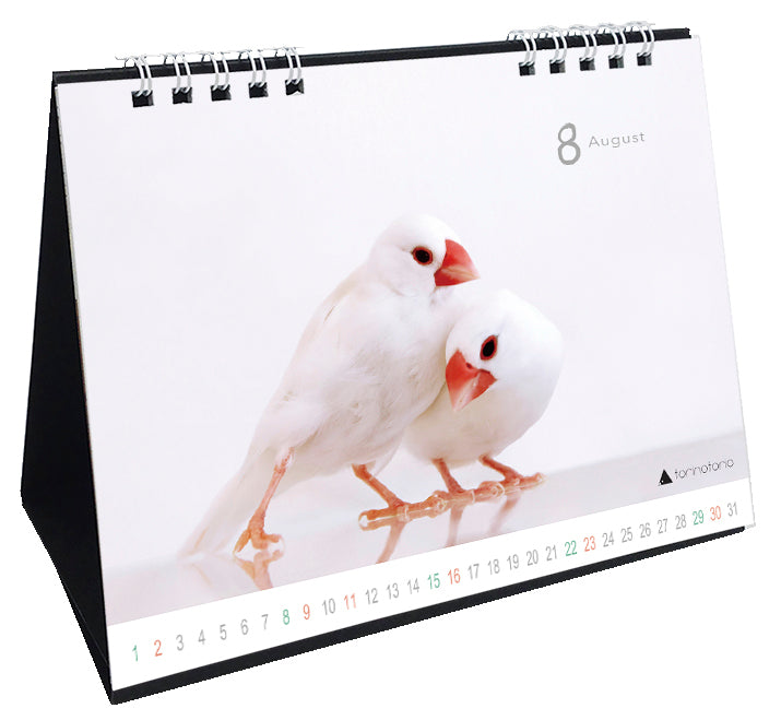 “Pre-order” 2026 Java Sparrow Desk Calendar